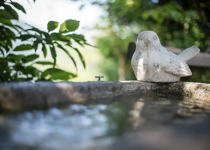 Apartamento Sumperer